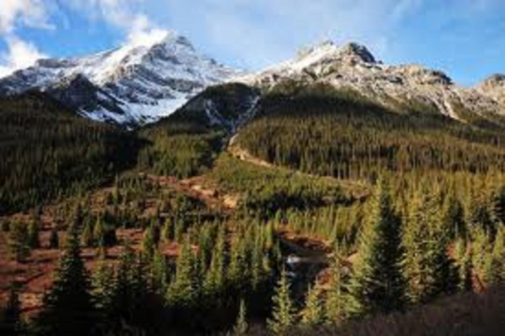 Hotel Ruidoso Ngoại thất bức ảnh